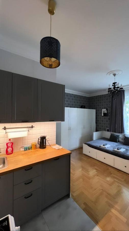 Top Apartment In The Centre Of Warsaw, Wi-Fi - By Hik Apartments Kültér fotó
